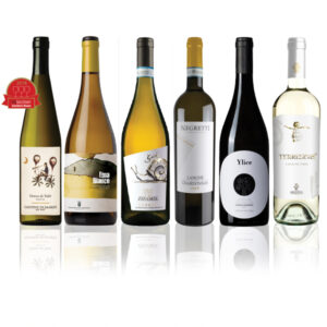 Luxury Christmas Whites Mixed Case - SPECIAL OFFER