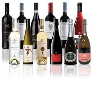 Luxury Mixed Case - 12 wines of Christmas - SPECIAL OFFER
